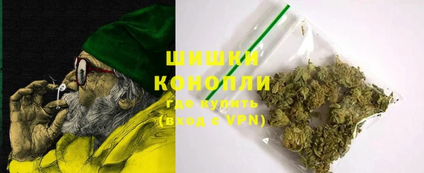 индика Абаза