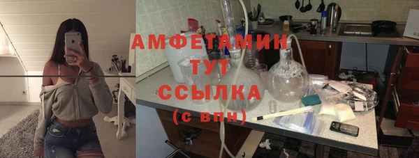 индика Абаза