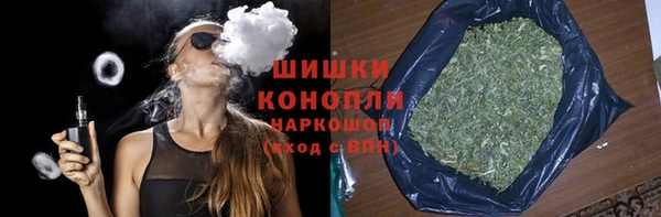 индика Абаза
