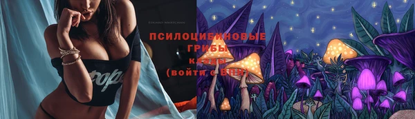 эйфоретик Абинск