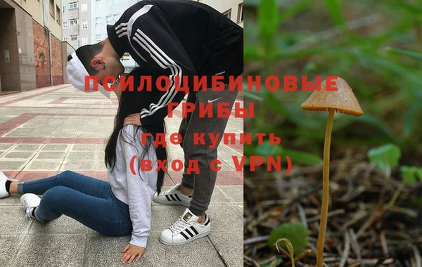 эйфоретик Абинск