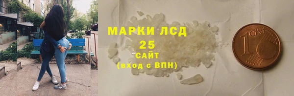 индика Абаза