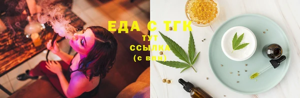индика Абаза