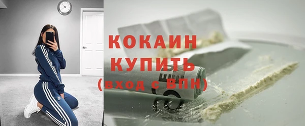 индика Абаза