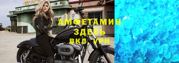 индика Абаза
