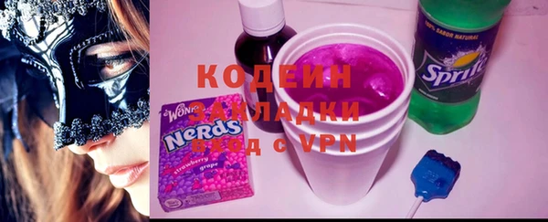 индика Абаза