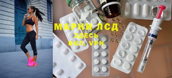 индика Абаза