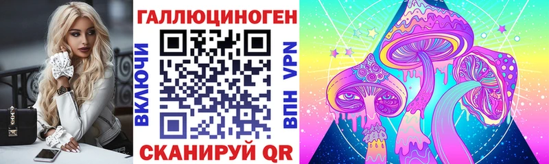 Псилоцибиновые грибы Psilocybine cubensis Яблоновский